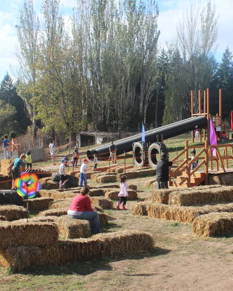 Farm Activities - Slides & Mazes