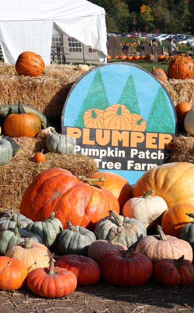 Plumper Pumpkin Patch - Portland, Oregon