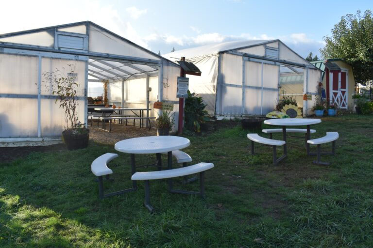 Fall & Winter Birthday Parties at Plumper Farms in Portland, Oregon