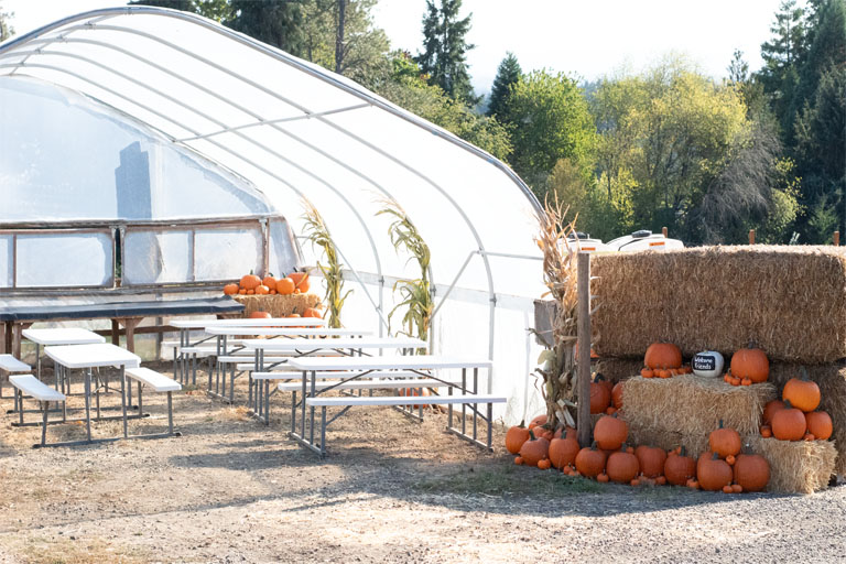 Fall & Winter Private Event Space in Portland, OR at Pumper Farms