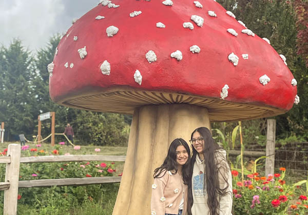 Giant Mushroom Photo Opportunity