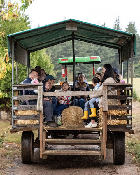 Fun Hay Ride at Plumper Pumpkin Patch & Tree Farm in Portland