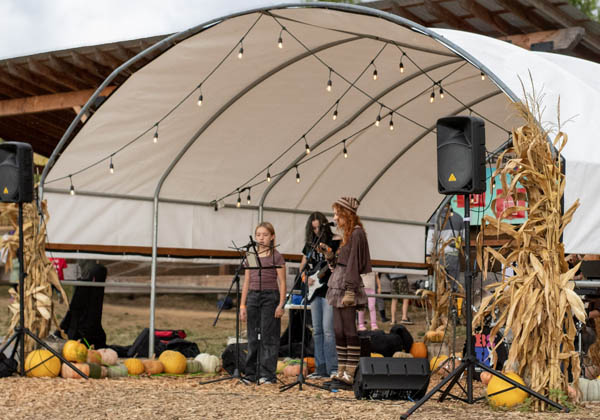 live-music-entertainment-portland-plumper-1