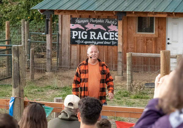 pig-races-2