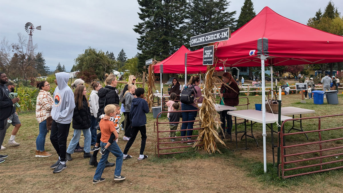 Farm Pricing at Plumper for Harvest Festival Admissions