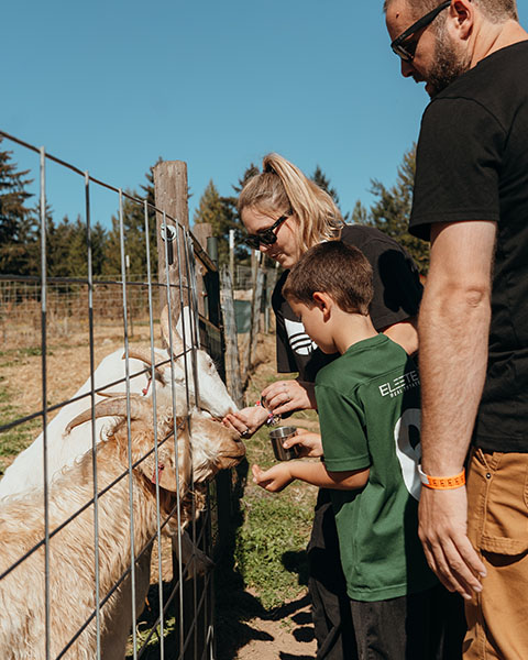 Feed the Farm Animals at Plumper in Portland