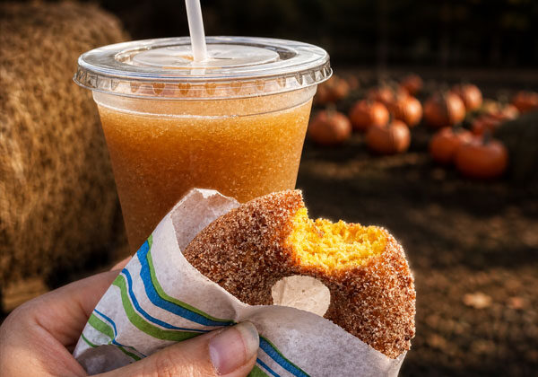 Cider Slushie