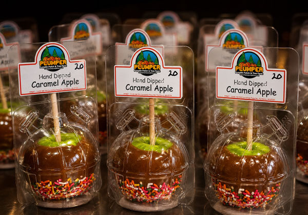 Hand Dipped Caramel Apples