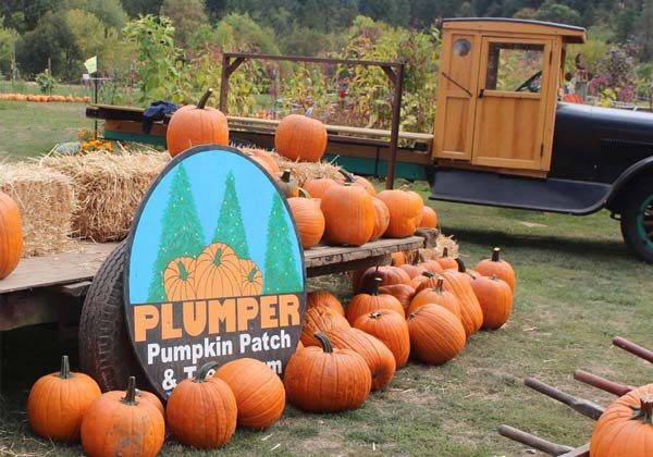 Weather on the Farm - Rain or Shine