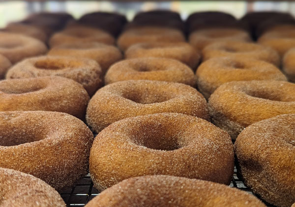 Pumpkin Donuts