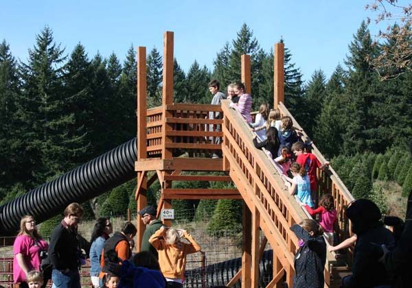 Spring Field Trip Fun and entertainment at Plumper Farm